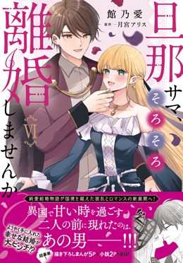 旦那サマ、そろそろ離婚しませんか？Ⅵ